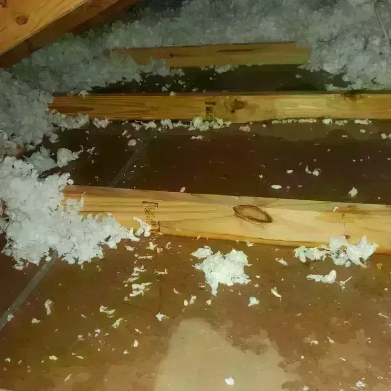 Attic Water Damage in South Patrick Shores, FL