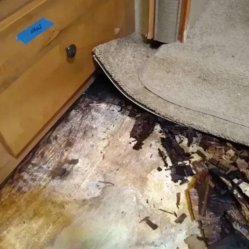 Best Wood Floor Water Damage Service in South Patrick Shores, FL